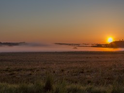 gamstmose_20190516_1690552083